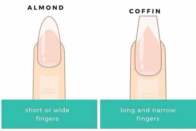 We also offer nail tips in short or long styles, specifically almond or coffin shapes. If you find suitable nail tips on Amazon, please send us the link, and if you are a member, we will stock them in our inventory just for you. If you’re not a member, we will still order them for you but keep them in inventory for other clients.